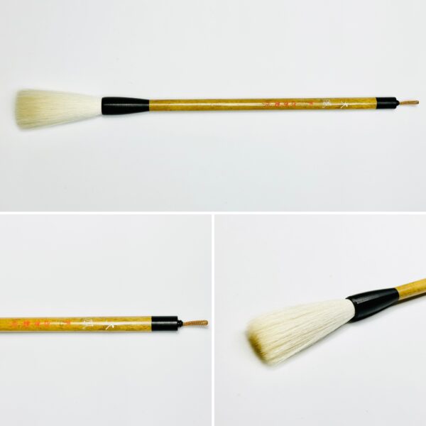 大鳳 甲 A-55 先揃え　【広島発送品】