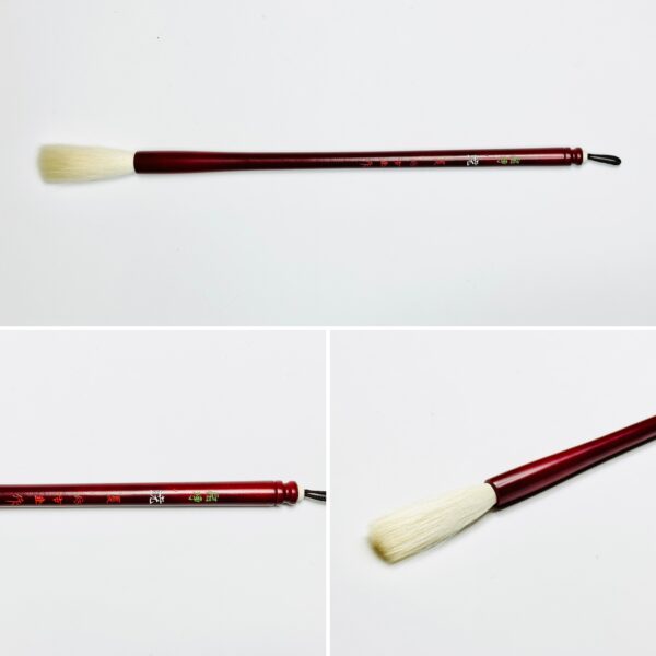 暁 夏 宿浄 A-75 やや先揃え　【広島発送品】