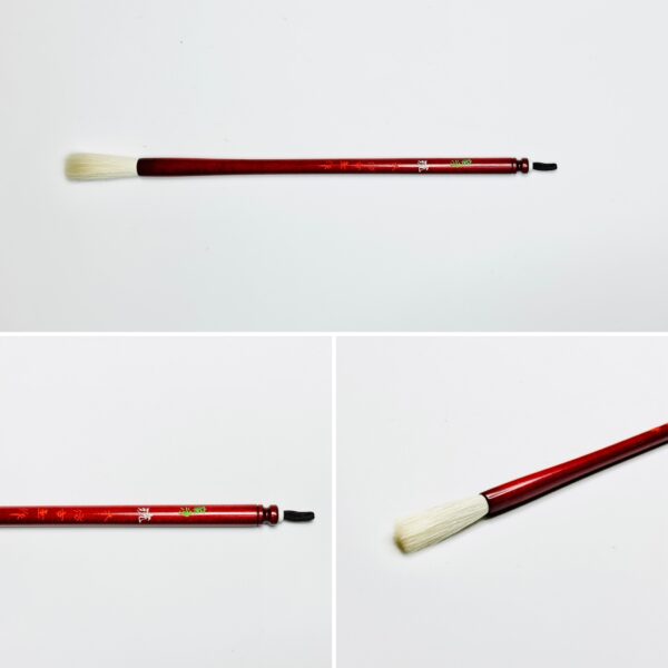 暁 冬 宿浄 A-77 やや先揃え　【広島発送品】