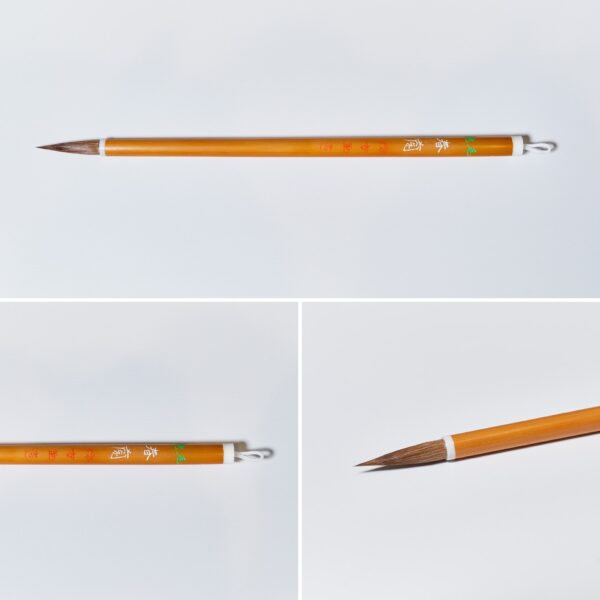 春蘭 B-41【広島発送品】
